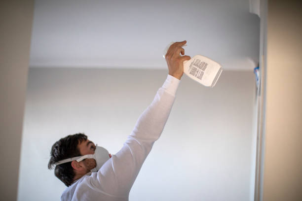 Best Same-Day Mold Removal  in Auburn, KS