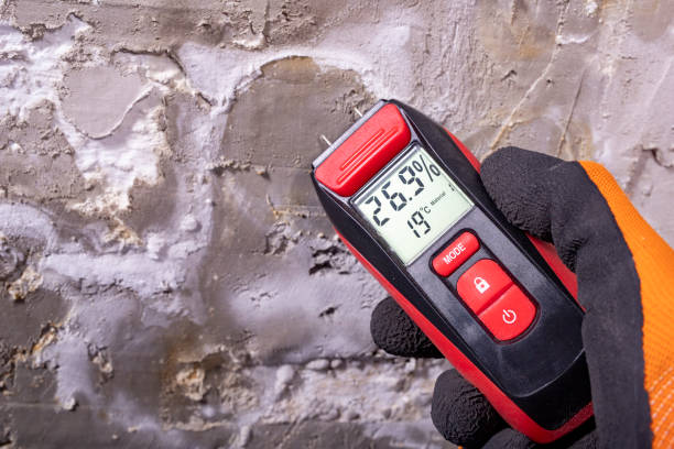 Best Fast Mold Removal  in Auburn, KS